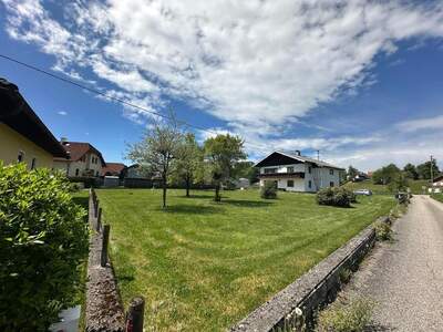 Grundstück kaufen in 4863 Seewalchen