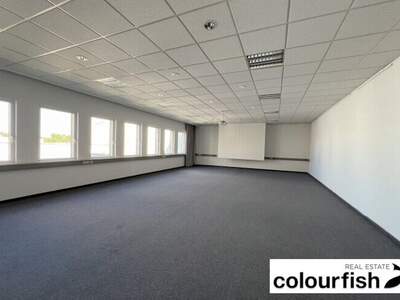 Gewerbeobjekt mieten in 1230 Wien (Bild 2)