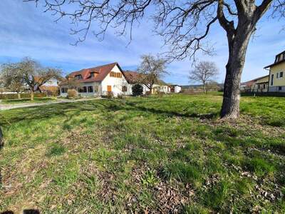 Grundstück kaufen in 8280 Altenmarkt (Bild 2)