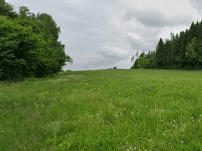 Grundstück kaufen in 9701 Ferndorf
