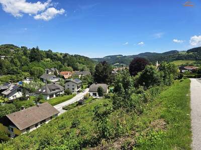 Grundstück kaufen in 2870 Aspang Markt
