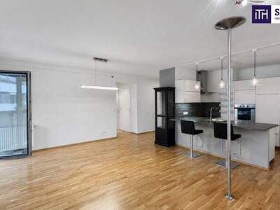 Terrassenwohnung mieten in 1110 Wien (Bild 2)