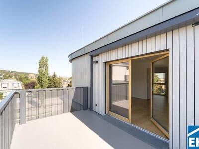 Terrassenwohnung kaufen in 2340 Mödling (Bild 4)