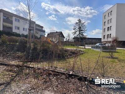 Terrassenwohnung kaufen in 4030 Linz (Bild 3)