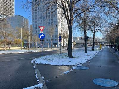 Haus mit Garten mieten in 1220 Wien (Bild 5)