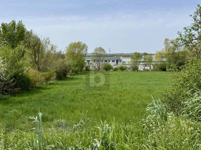 Grundstück kaufen in 7032 Sigleß (Bild 2)