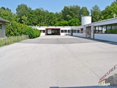 Lager mieten in 2432 Schwadorf (Bild 4)