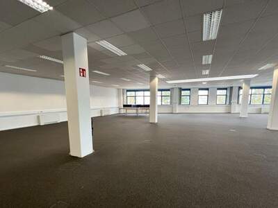 Gewerbeobjekt mieten in 1230 Wien (Bild 4)