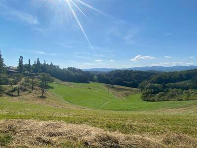 Gewerbeobjekt kaufen in 8462 Leutschach (Bild 3)