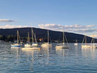 Apartment provisionsfrei kaufen in 9232 Rosegg