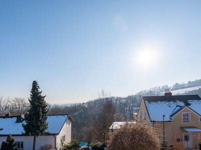 Haus kaufen in 4040 Linz (Bild 4)