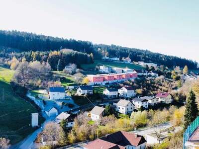 Grundstück kaufen in 4040 Lichtenberg (Bild 5)