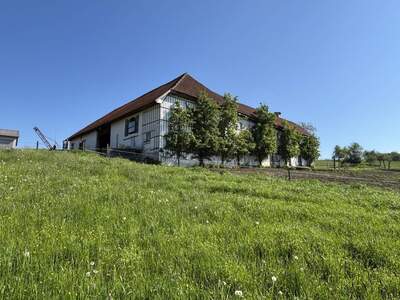 Bauernhaus kaufen in 4084 Sankt Agatha