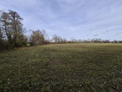 Land- und Forstwirtschaft kaufen in 4950 Altheim