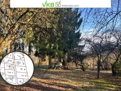 Grundstück kaufen in 4211 Spattendorf