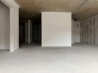 Gewerbeobjekt mieten in 1230 Wien (Bild 3)