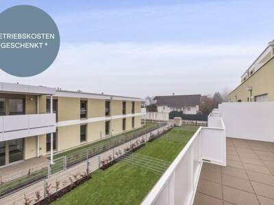 Terrassenwohnung kaufen in 2540 Bad Vöslau (Bild 1)
