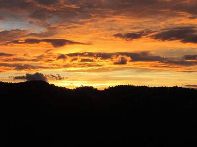 Haus provisionsfrei kaufen in 7212 Forchtenstein