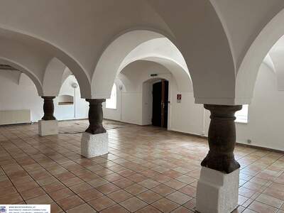 Gewerbeobjekt mieten in 4052 Ansfelden (Bild 2)