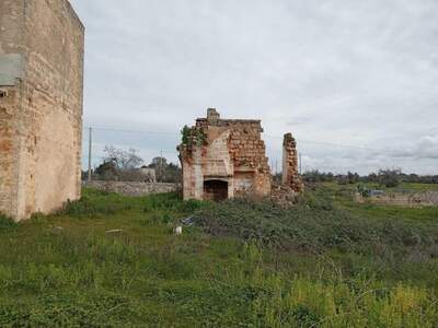 Haus mit Garten kaufen (Bild 5)