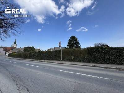 Grundstück kaufen in 3424 Zeiselmauer (Bild 5)