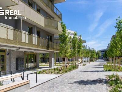 Terrassenwohnung kaufen in 1210 Wien (Bild 4)