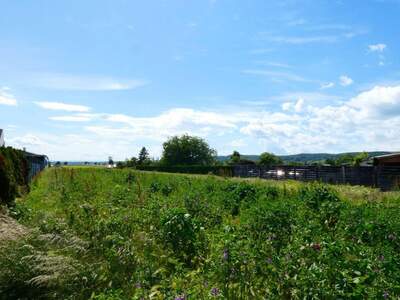 Grundstück kaufen in 7083 Purbach