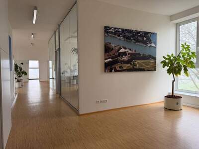 Gewerbeobjekt mieten in 6922 Wolfurt