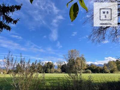 Grundstück kaufen in 6890 Lustenau