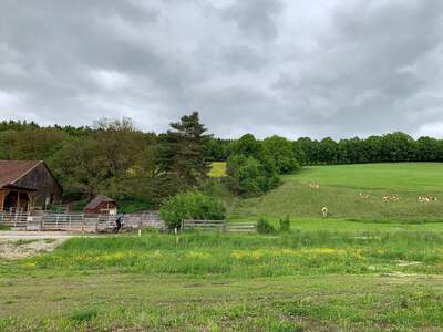 Grundstück provisionsfrei kaufen in 3150 Wilhelmsburg