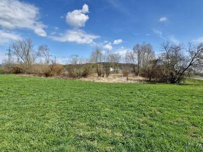 Grundstück kaufen in 4850 Timelkam (Bild 5)