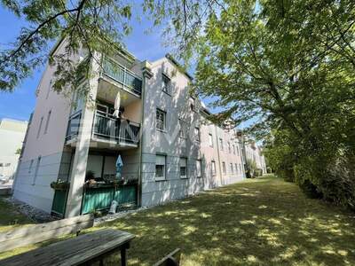 Terrassenwohnung kaufen in 2540 Bad Vöslau (Bild 2)