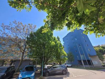 Wohnung mieten in 3500 Krems