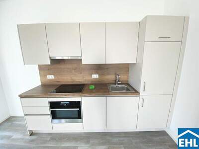 Terrassenwohnung mieten in 1100 Wien (Bild 2)