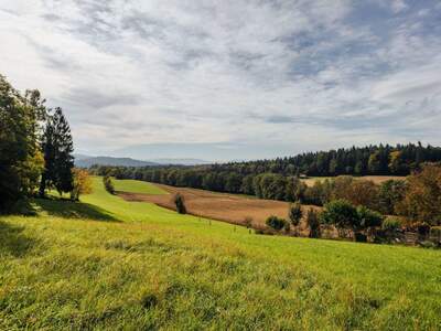 Anlageobjekt kaufen in 8411 Hengsberg