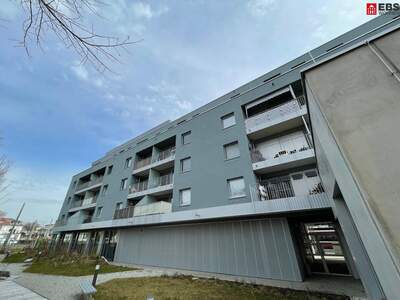 Wohnung mieten in 5020 Salzburg