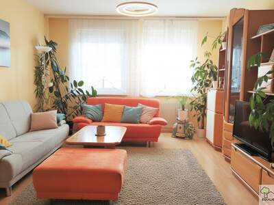 Mietwohnung in 2491 Neufeld (Bild 1)