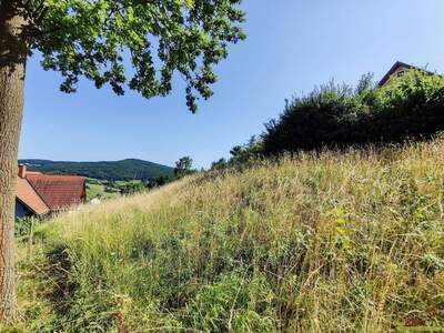 Grundstück kaufen in 8344 Bairisch Kölldorf