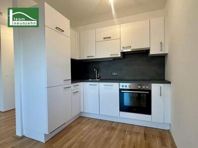 Terrassenwohnung mieten in 1220 Wien (Bild 5)