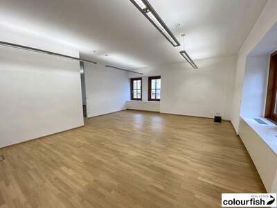 Gewerbeobjekt mieten in 1010 Wien (Bild 3)