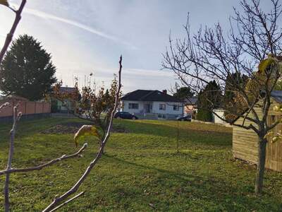 Grundstück kaufen in 7121 Weiden (Bild 5)