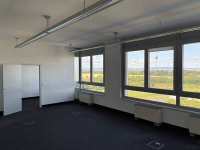 Gewerbeobjekt mieten in 2320 Schwechat