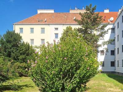 Wohnung kaufen in 2320 Schwechat (Bild 1)