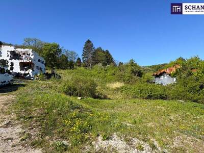 Grundstück kaufen in 3400 Klosterneuburg (Bild 2)