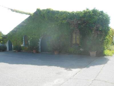 Gewerbeobjekt kaufen in 7122 Gols