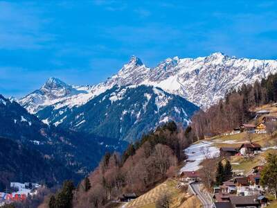 Wohnung kaufen in 6781 Bartholomäberg