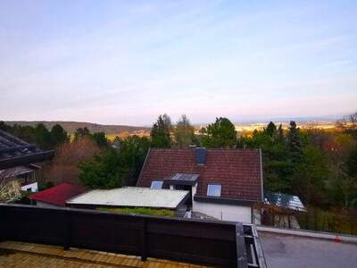 Haus kaufen in 2752 Wöllersdorf (Bild 1)