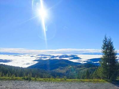 Wohnung kaufen in 9571 Sirnitz (Bild 2)