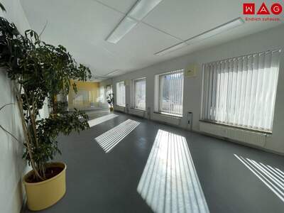 Büro / Praxis mieten in 8790 Eisenerz (Bild 3)