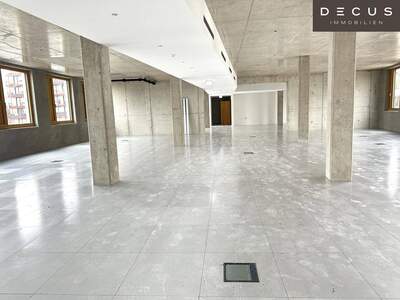Gewerbeobjekt mieten in 1230 Wien